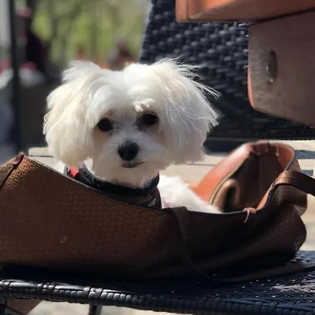 Appartement Hanza Tower White 23 Pool & Jacussi Szczecin